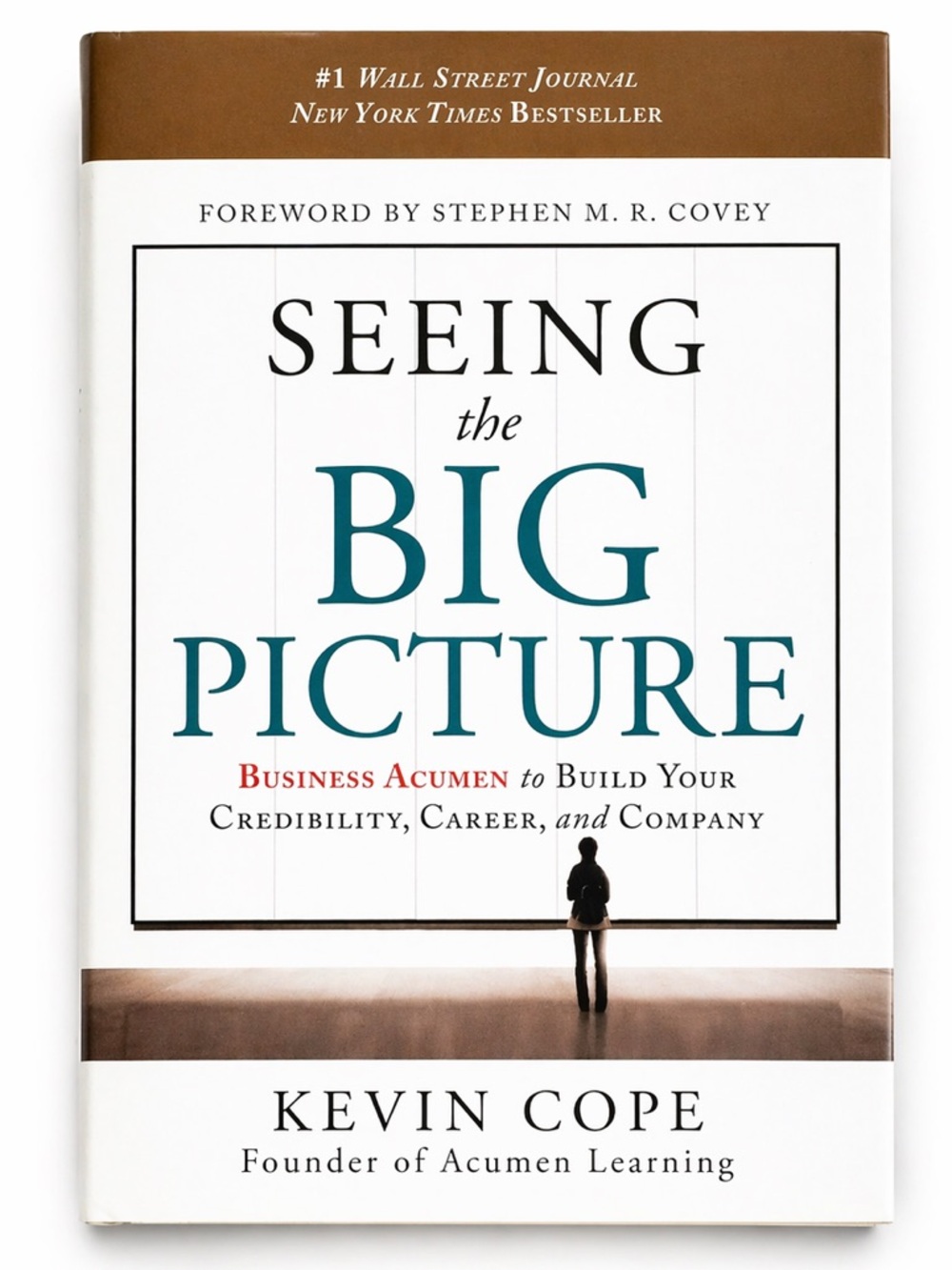 Kevin Cope Seeing the Big Picture Book Paperback Literature Study Guide
